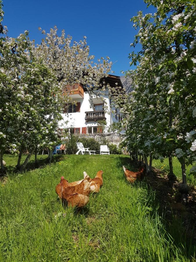 Ferienwohnung Lafreid Algund Екстер'єр фото